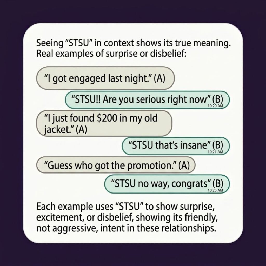 Examples of STSU in Conversation