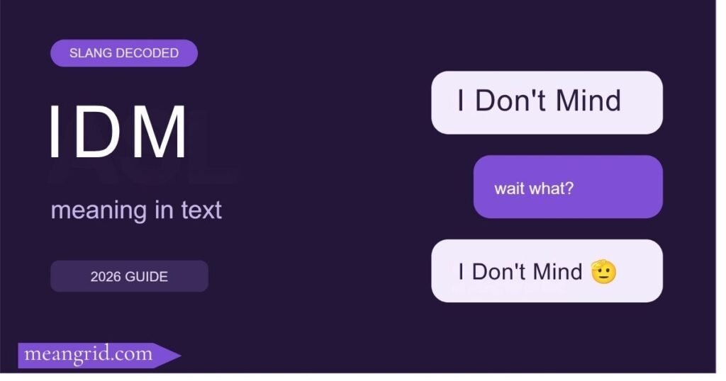 IDM Meaning in Text