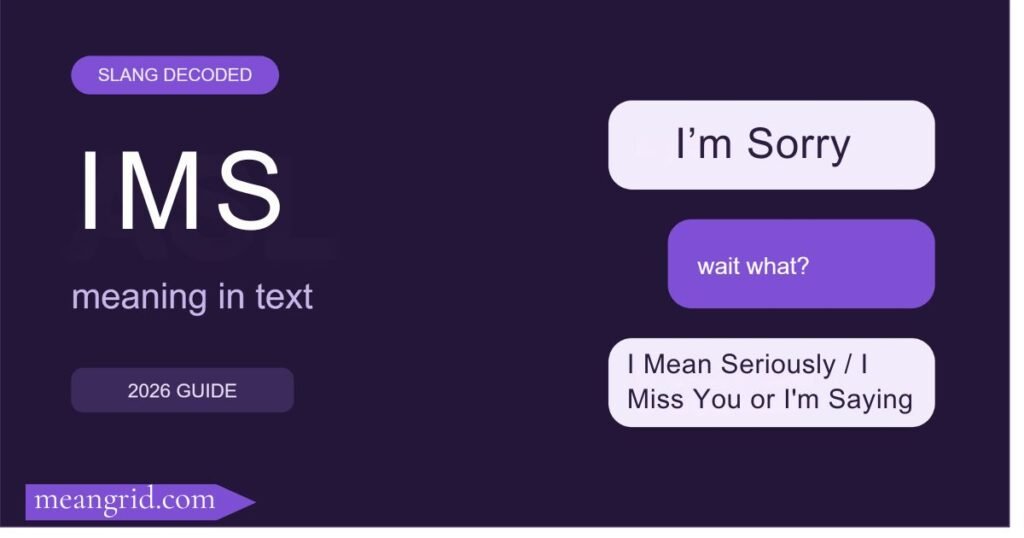 IMS Meaning in Texting