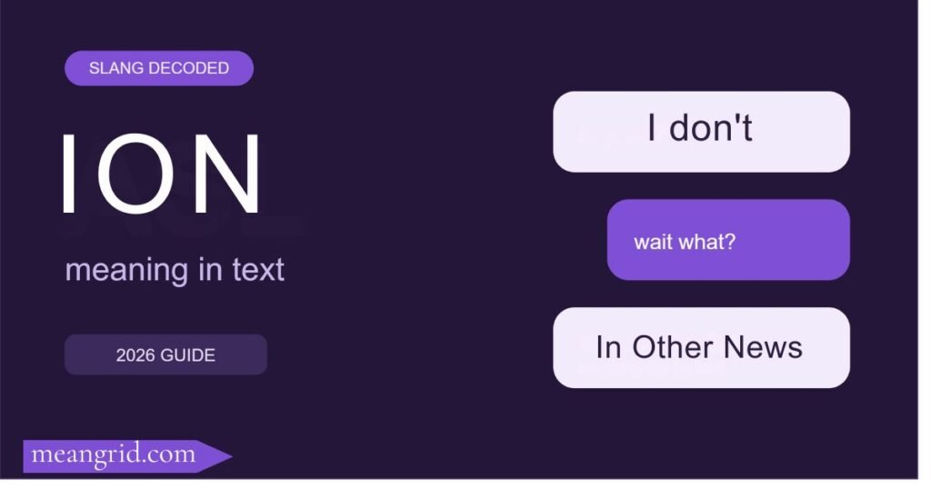 ION Meaning in Text