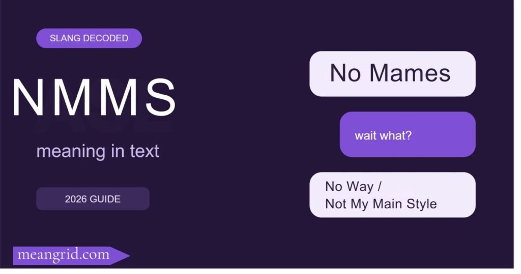 NMMS Meaning in Text: Definition, Origin, and Examples