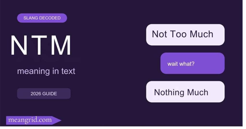 NTM Meaning in Text