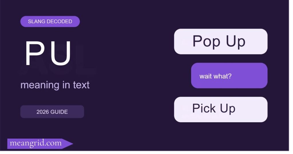 PU Meaning in Text