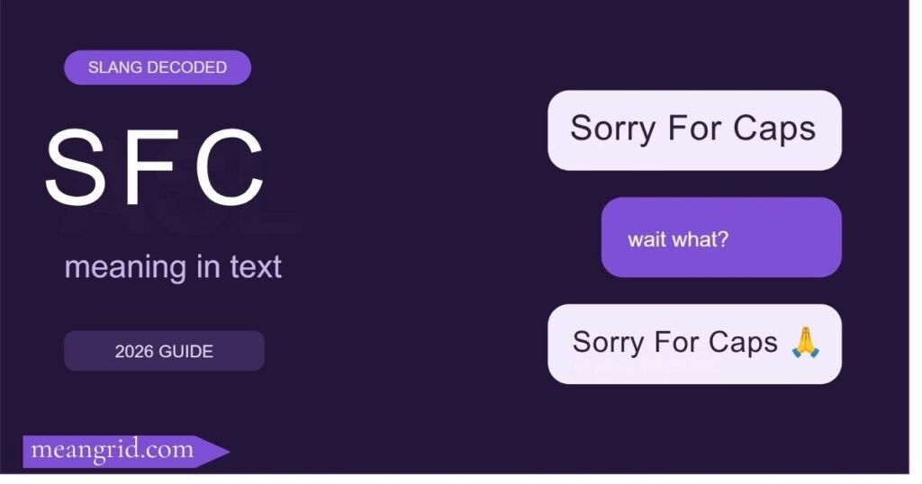 SFC Meaning in Text