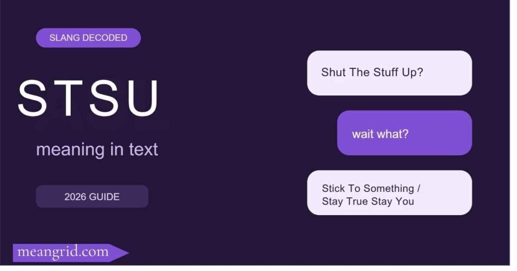 STSU Meaning in Text