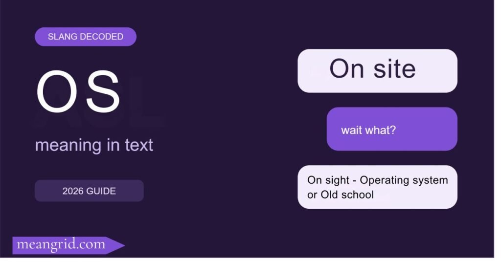 OS Meaning in Text