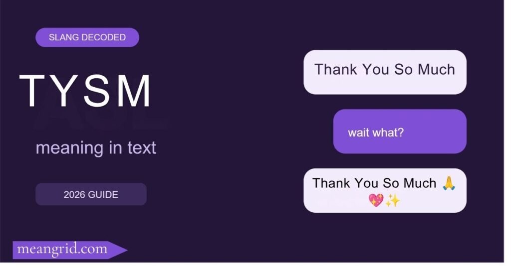 TYSM Meaning in Text