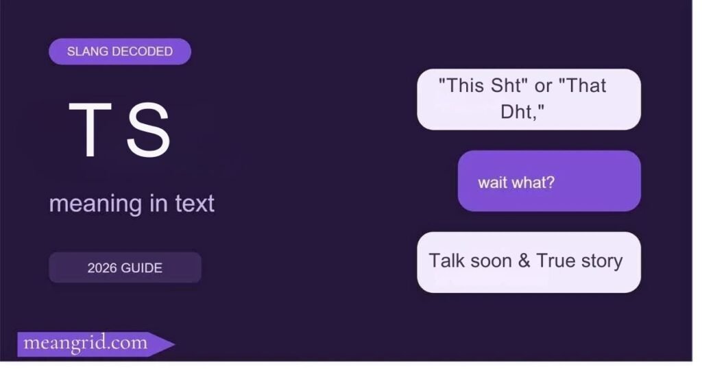 TS Meaning