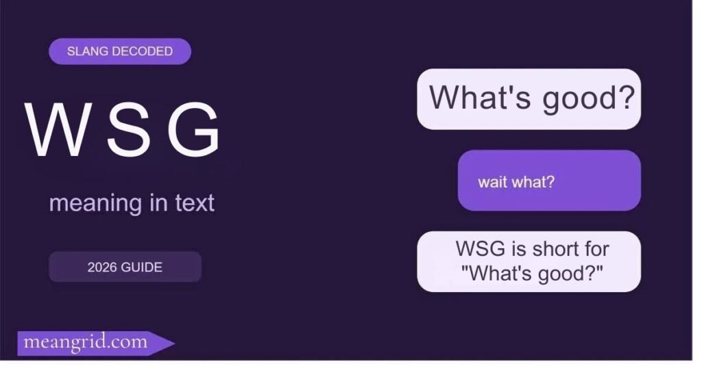 WSG Meaning in Text