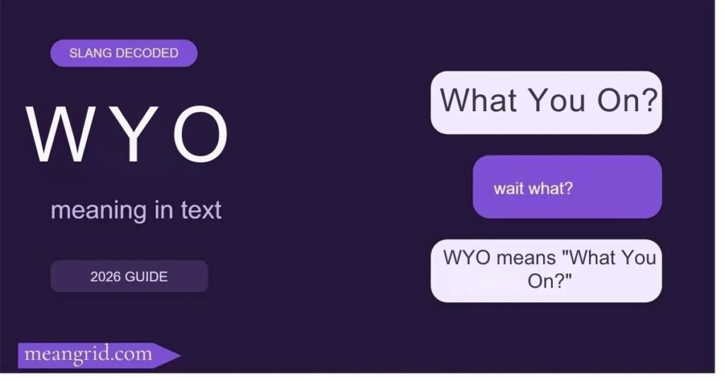 WYO Meaning in Text