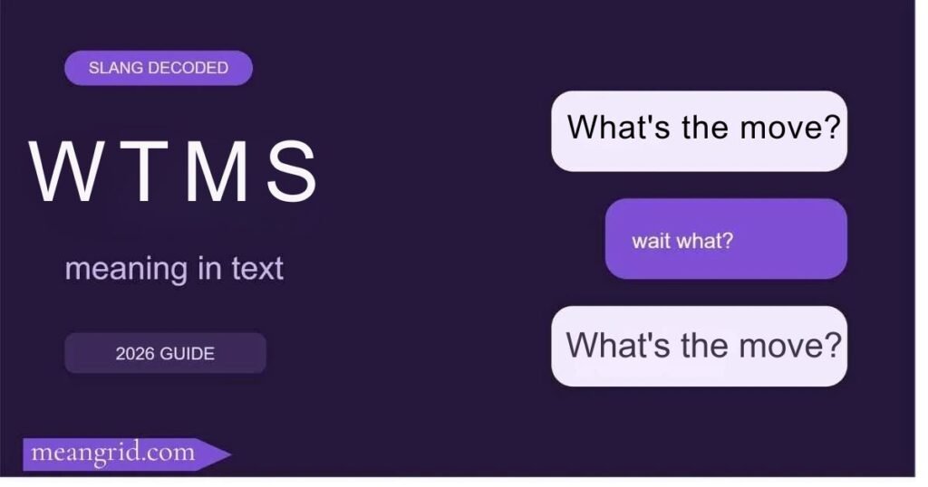 WTMS Meaning in Text